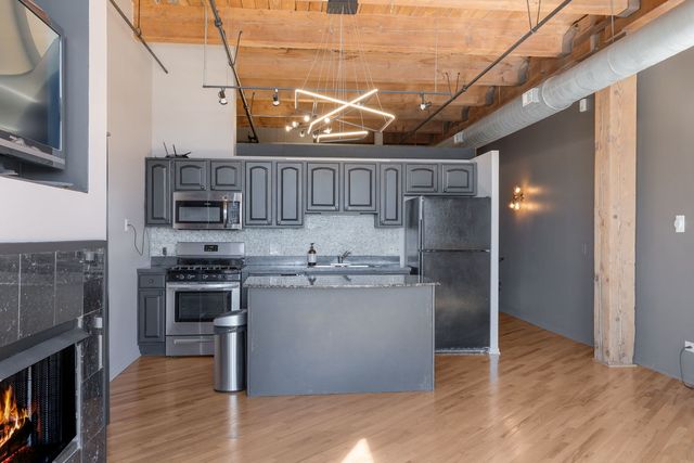 1250 W Van Buren Street 511, Chicago, IL 60607