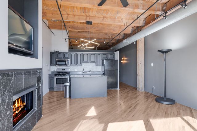 1250 W Van Buren Street 511, Chicago, IL 60607