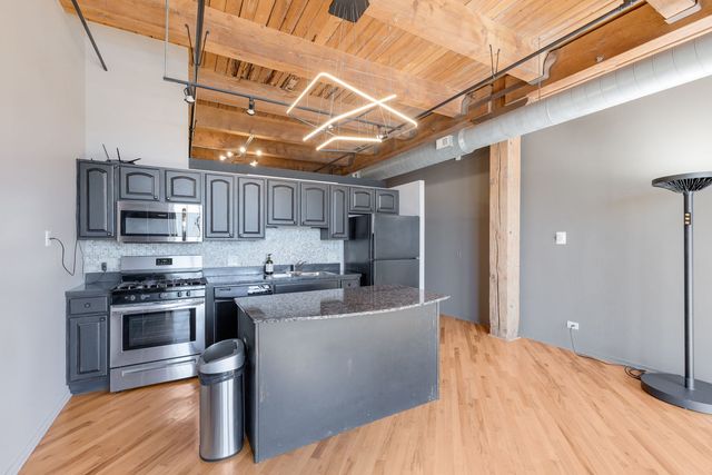 1250 W Van Buren Street 511, Chicago, IL 60607