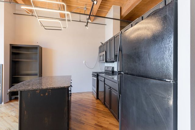 1250 W Van Buren Street 511, Chicago, IL 60607