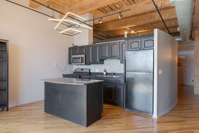 1250 W Van Buren Street 511, Chicago, IL 60607