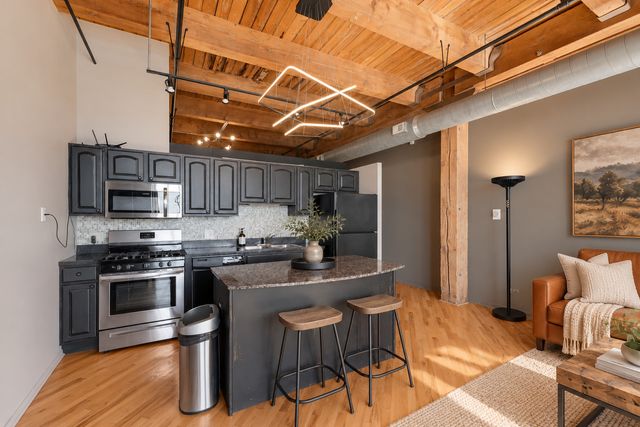 1250 W Van Buren Street 511, Chicago, IL 60607