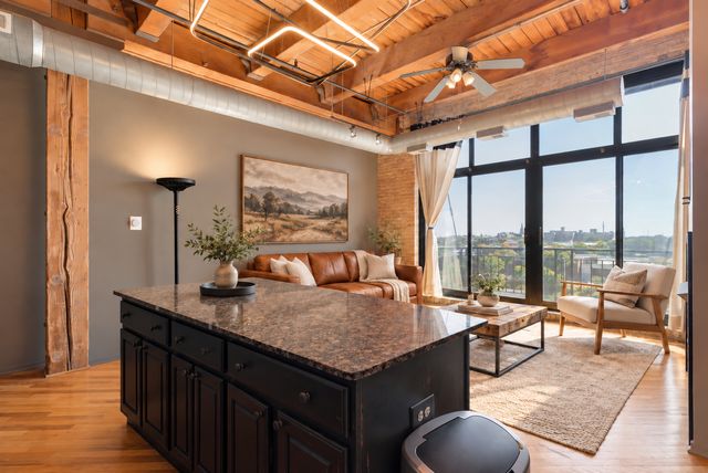 1250 W Van Buren Street 511, Chicago, IL 60607