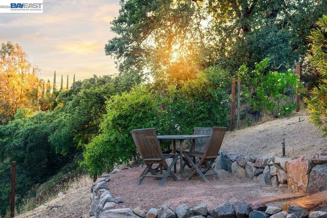 16 Ardendale Ct, Alamo, CA 94507