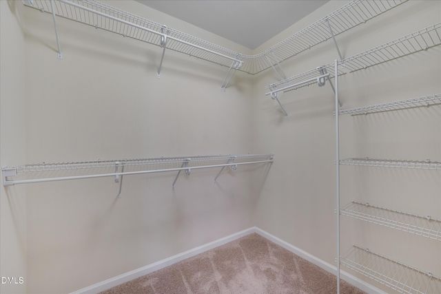 12681 Gallant Place, Raleigh, NC 27614