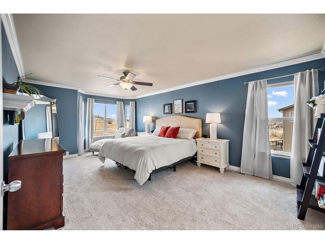 1799 Granger Cir, Castle Rock, CO 80109