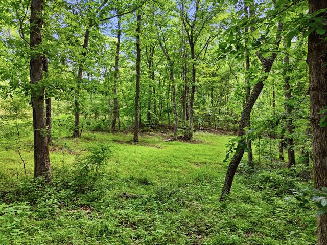 739 S Moore Road, Rising Fawn, GA 30738
