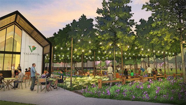 6330 Sparkling Citrus Street, Manvel, TX 77578