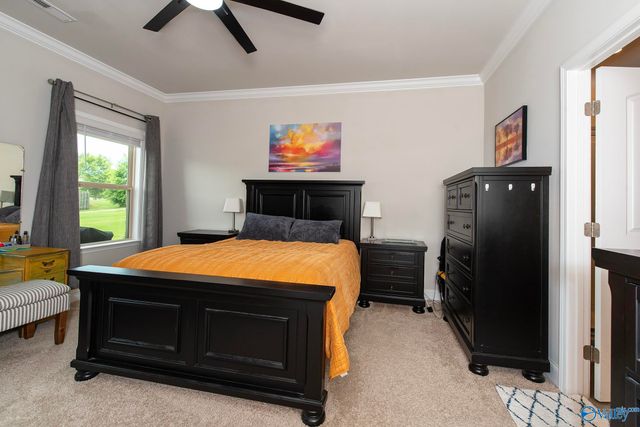 28599 Paseo Road, Madison, AL 35756
