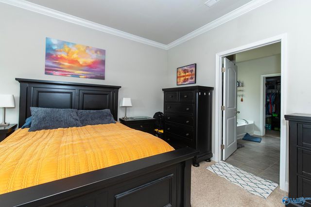 28599 Paseo Road, Madison, AL 35756