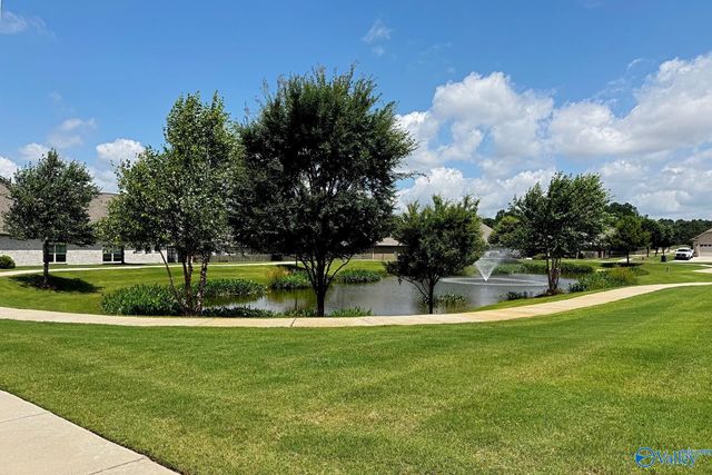 28599 Paseo Road, Madison, AL 35756