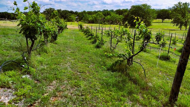 171 County Road 117 RD, Llano, TX 78643