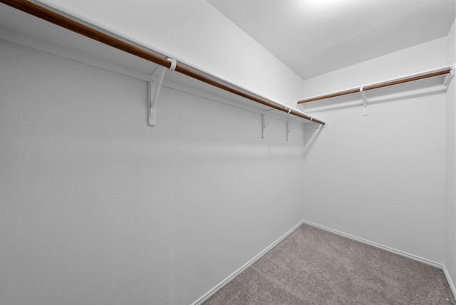 118 Camellia DR, Hutto, TX 78634