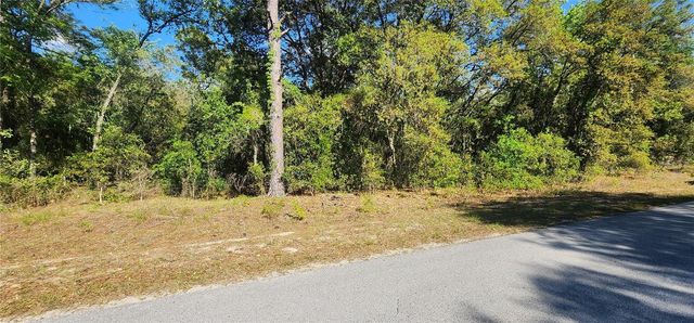 TBD SW VIBURNUM ROAD, Dunnellon, FL 34431