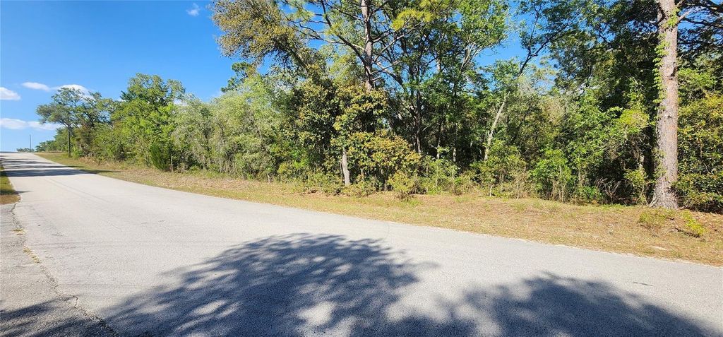 TBD SW VIBURNUM ROAD, Dunnellon, FL 34431