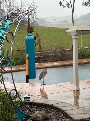 7959 Linda Vista Rd, Vacaville, CA 95688