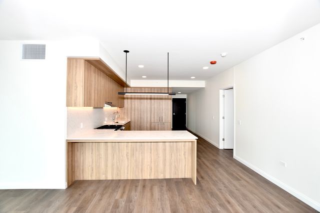 1000 S Michigan Avenue 6606, Chicago, IL 60605