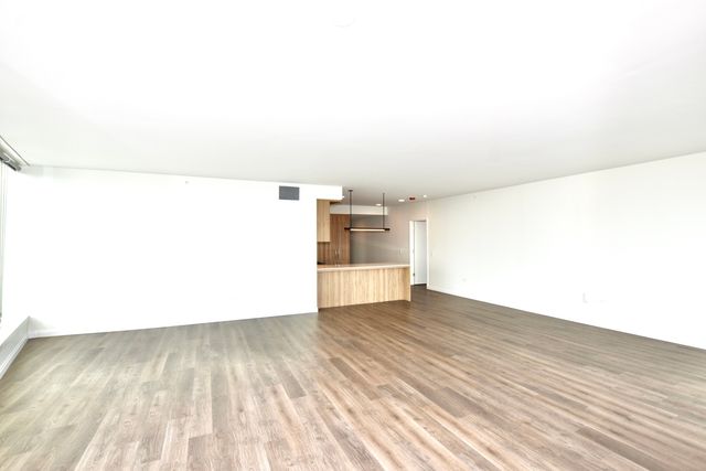 1000 S Michigan Avenue 6606, Chicago, IL 60605