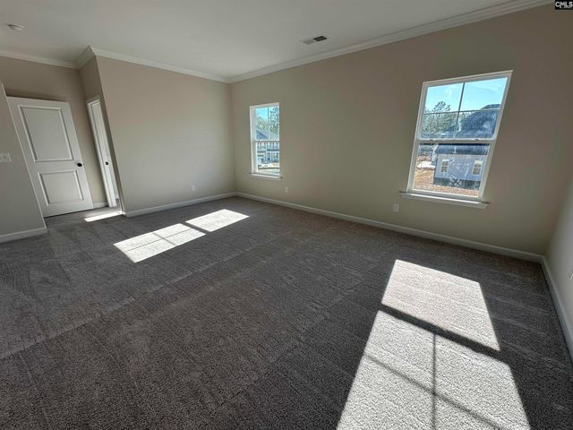 387 Rising Stream Way, Chapin, SC 29036