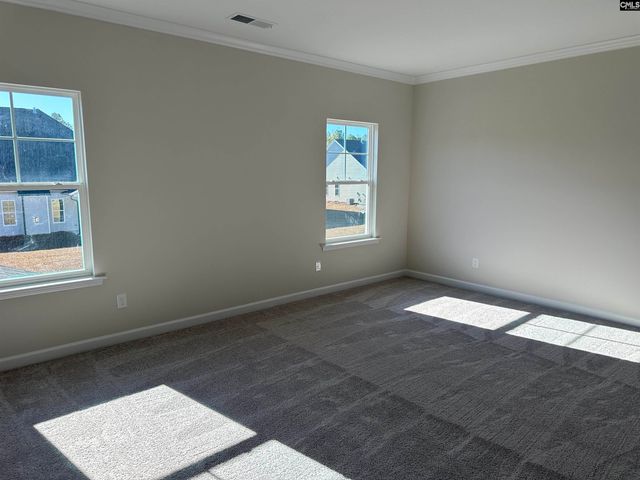 387 Rising Stream Way, Chapin, SC 29036