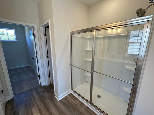 387 Rising Stream Way, Chapin, SC 29036