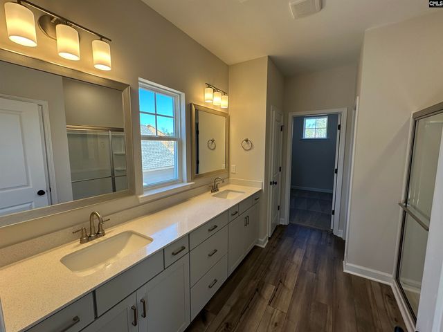 387 Rising Stream Way, Chapin, SC 29036