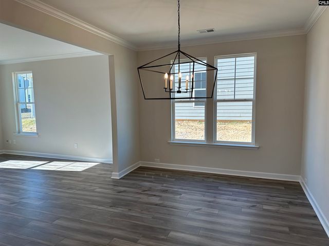 387 Rising Stream Way, Chapin, SC 29036