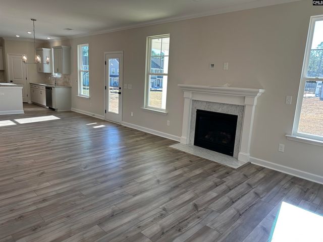 387 Rising Stream Way, Chapin, SC 29036