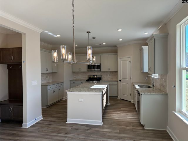 387 Rising Stream Way, Chapin, SC 29036