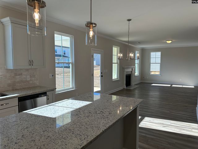 387 Rising Stream Way, Chapin, SC 29036