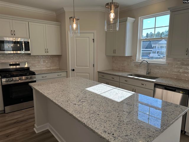 387 Rising Stream Way, Chapin, SC 29036