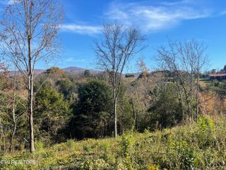 Mountain Ridge, Newport, TN 37821