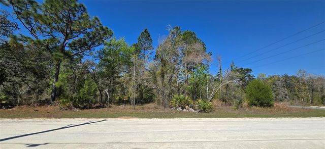 12398 RUFFED GROUSE ROAD, Weeki Wachee, FL 34614