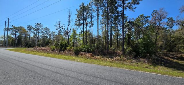 12398 RUFFED GROUSE ROAD, Weeki Wachee, FL 34614
