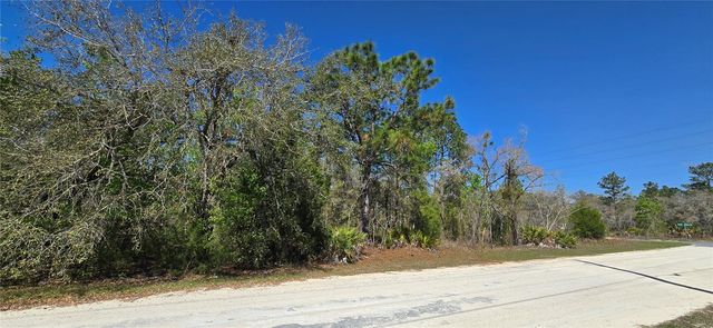 12398 RUFFED GROUSE ROAD, Weeki Wachee, FL 34614