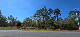 12398 RUFFED GROUSE ROAD, Weeki Wachee, FL 34614