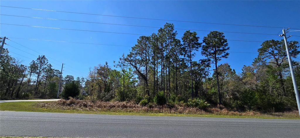 12398 RUFFED GROUSE ROAD, Weeki Wachee, FL 34614