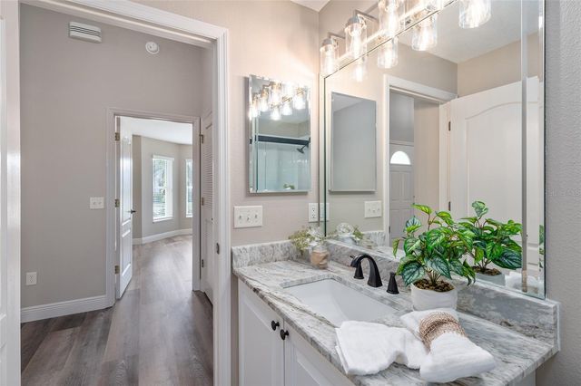 3177 WILLIAMS ROAD, The Villages, FL 32162