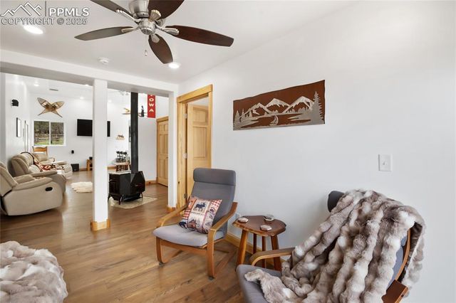 437 Langnis Road, Guffey, CO 80820