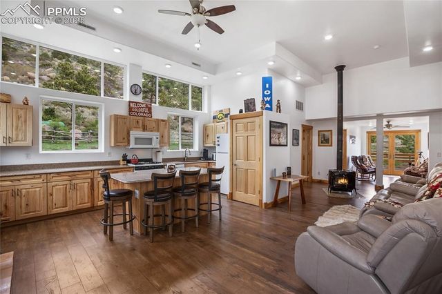 437 Langnis Road, Guffey, CO 80820