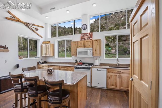 437 Langnis Road, Guffey, CO 80820