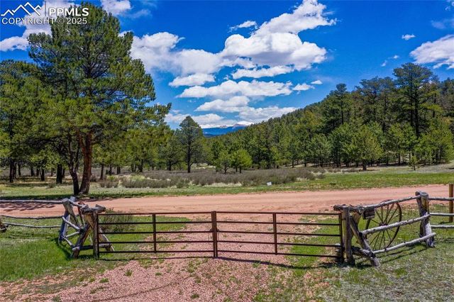437 Langnis Road, Guffey, CO 80820