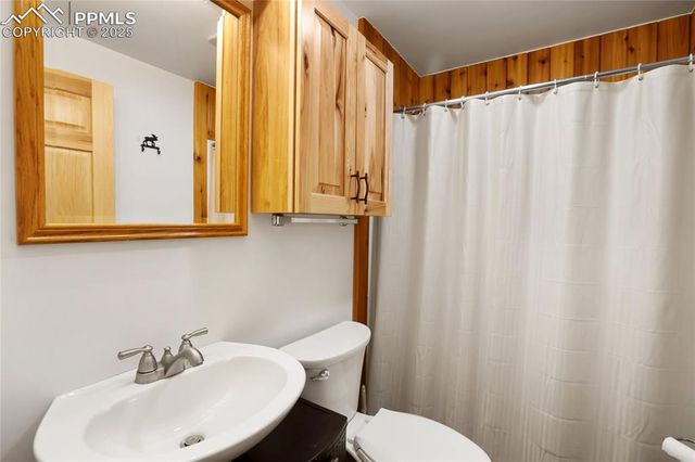 437 Langnis Road, Guffey, CO 80820