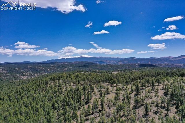 437 Langnis Road, Guffey, CO 80820