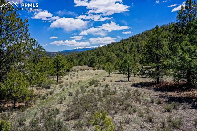 437 Langnis Road, Guffey, CO 80820
