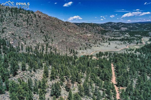 437 Langnis Road, Guffey, CO 80820