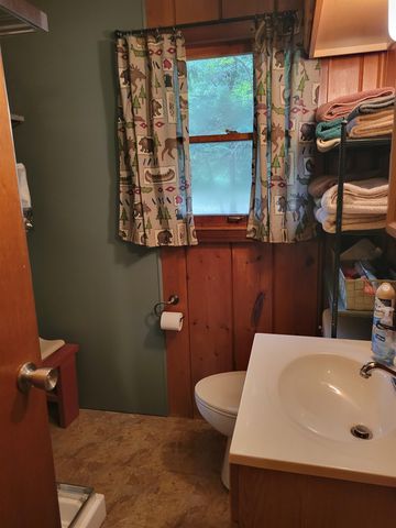 1441 Birma Trail, Beaverton, MI 48612