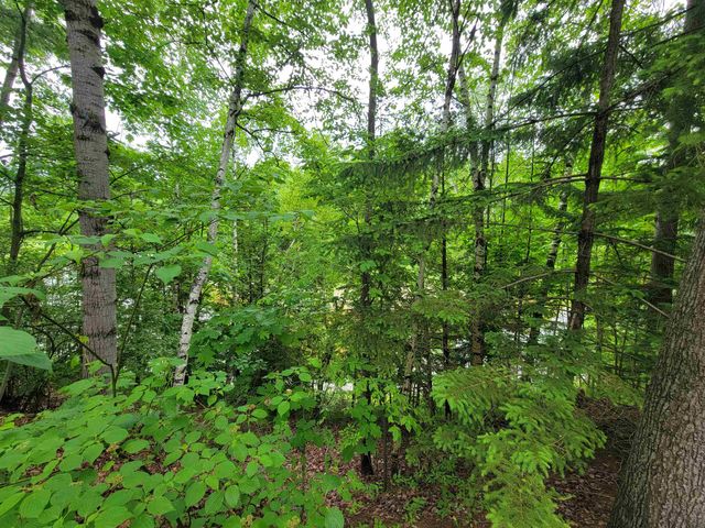 1441 Birma Trail, Beaverton, MI 48612