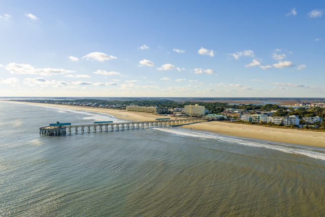 115 E Arctic Avenue 1a, Folly Beach, SC 29439