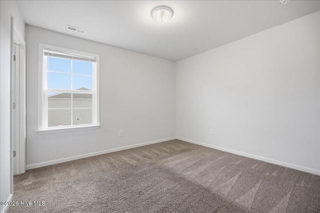 4499 Parsons Mill Drive, Castle Hayne, NC 28429